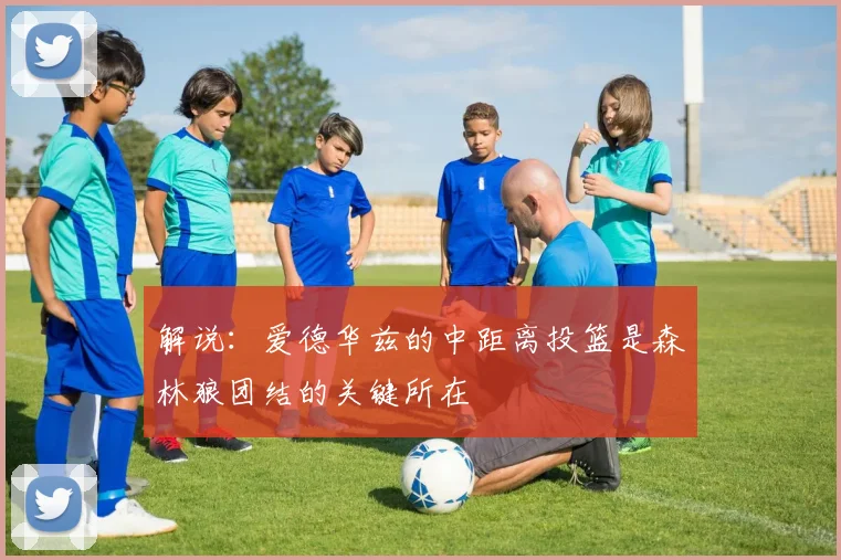 解说：爱德华兹的中距离投篮是森林狼团结的关键所在