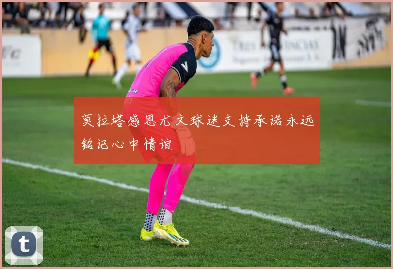 莫拉塔感恩尤文球迷支持承诺永远铭记心中情谊