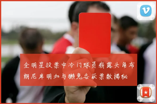 全明星投票中冷门球员崭露头角布朗尼库明加与獭兔各获票数揭秘