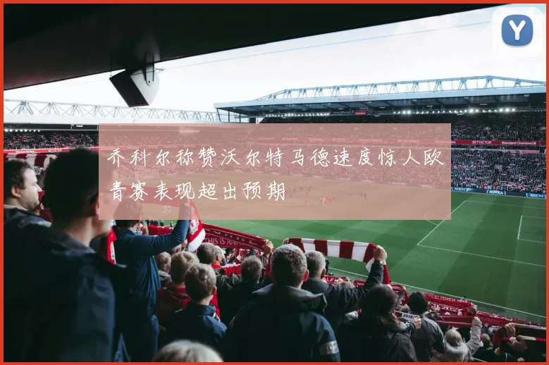 乔科尔称赞沃尔特马德速度惊人欧青赛表现超出预期