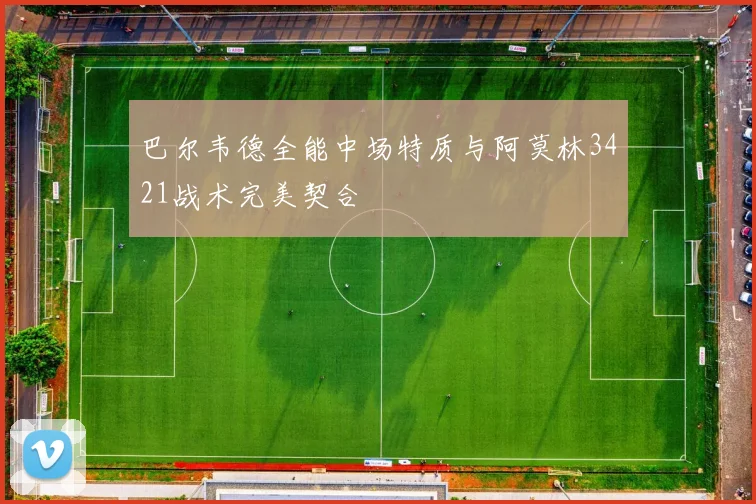 巴尔韦德全能中场特质与阿莫林3421战术完美契合